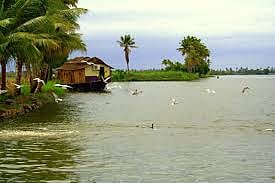 Kerala saw increased tourist arrivals, revenue in 2014