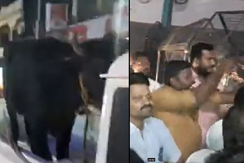 Youth Congress protest