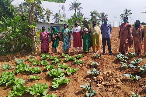 Farming in Kerala 