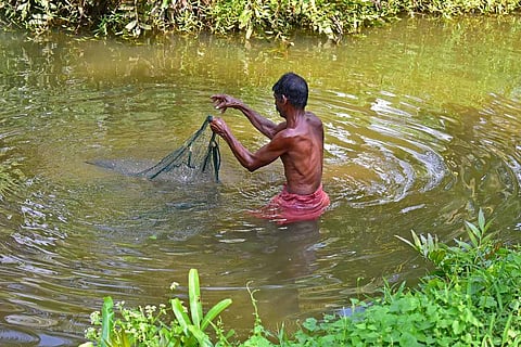Fresh water fishing
