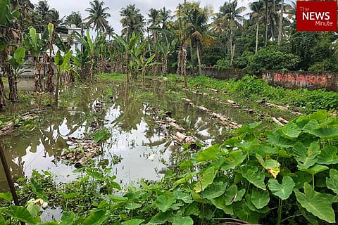 Kerala rains: Death toll rises to 29, government assesses damage