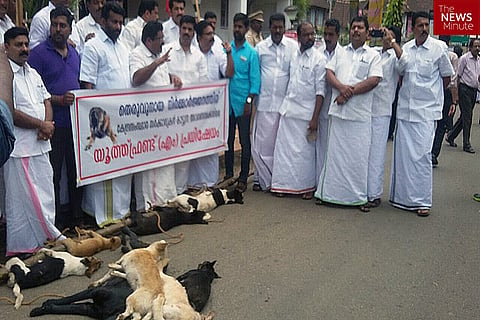 Stop being dogmatic: Kerala needs a middle ground in the stray dog debate