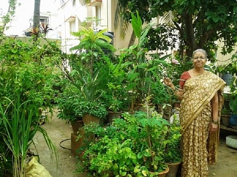 Bengaluru's oldest urban farmer leads the way in sustainable living