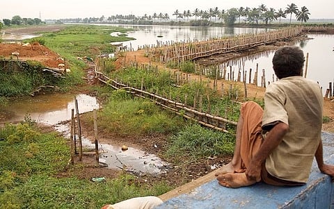 Kole farmers of Kerala reel under unprecedented drought
