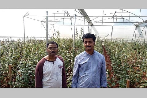 How educated youth are boosting agricultural growth with hi-tech farming in Tamil Nadu