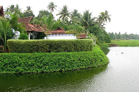 A green imgae of Kerala's famous Kuramakom backwaters 