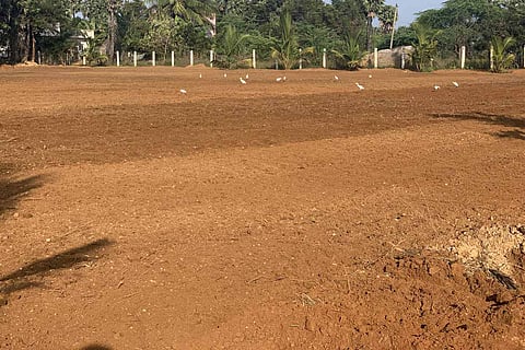 Emply plot of land