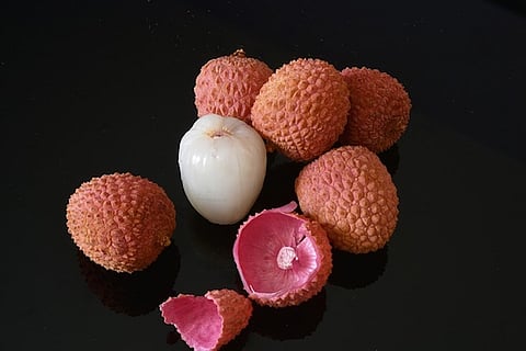 Bihar encephalitis deaths linked to litchis: Precautions to take while consuming the fruit