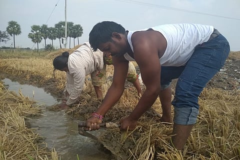 Ground report: Why not make Rythu Bandhu a subsidy scheme, ask Telangana farmers