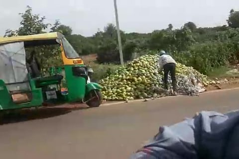 A mango grower dumping his produce by the road in Kolar
