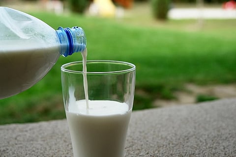Grofers forays into packaged milk category, launches ‘G-Fresh Milk’