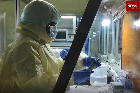 Karnataka High Court issues notice to state govt over 'monkey fever' outbreak