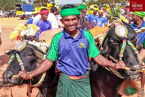 Buffaloes anatomically unfit for sport: PETA to fight kambala law in SC