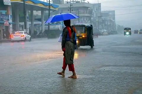 A woman in a saree holding a blue umbrella crossing the road amid rain