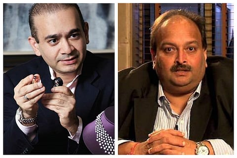 ED seeks court order declaring Nirav Modi, Choksi fugitives