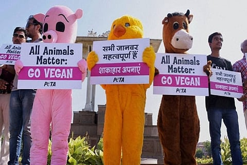 PETA no stranger to controversy, a short list of the animal rights group's India campaigns