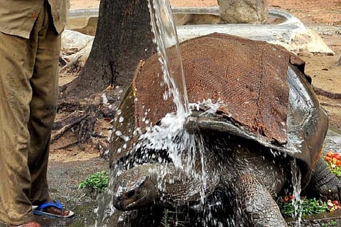  With temperatures rising, Hyderabad zoo provides animals with sprinklers and air coolers