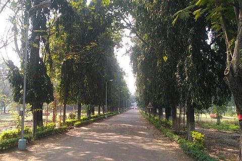 Not Aadhaar, but marriage certificate for entering this Coimbatore park