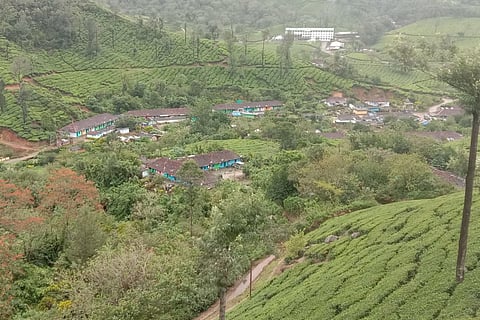 Estate quarters for plantation workers in Pettimudi