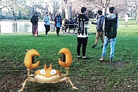 New Zealander quits job to become full-time Pokemon hunter