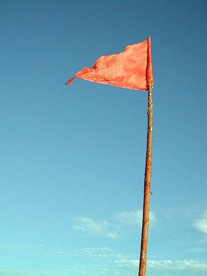 Thousands of RSS workers arrested across Tamil Nadu despite Madras HC permission