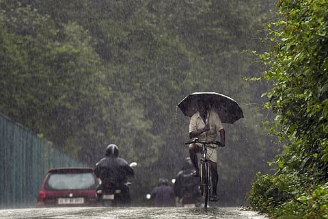 A person riding bicycle with umbrella in rain
