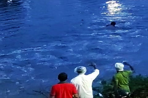 Several onlookers could be seen trying to encourage Naveen to swim and reach ashore.