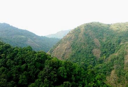 Locals in Kerala doubt there is any real Maoist movement in Silent Valley