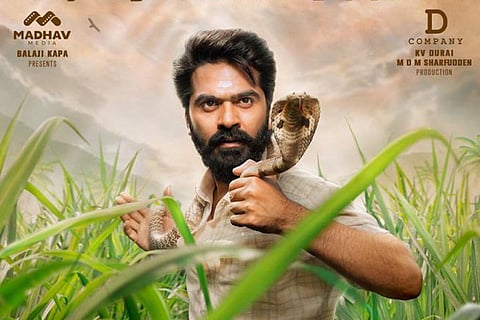 Simbu
