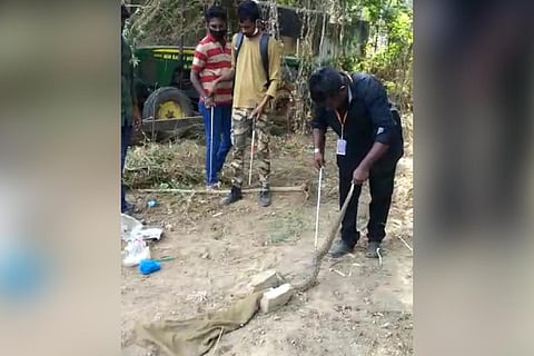 Impact of Jyothika's viral video? Thanjavur hospital cleaned, snakes removed