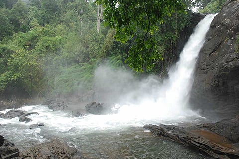 Soochipara Waterfalls