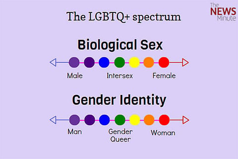 Understanding LGBTQ+: An exhaustive explainer on gender and sexual identities
