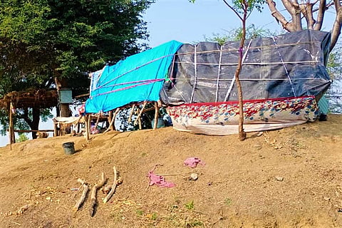 Farmers in this Telangana village shift to their fields fearing COVID-19 spread