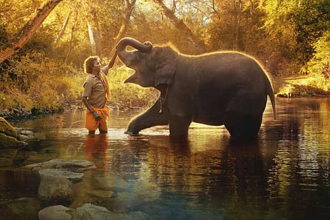 A still from The Elephant WhisperersA still from The Elephant Whisperers