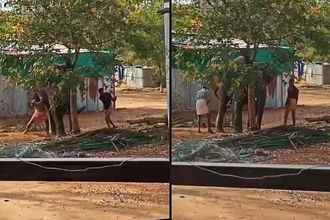 Elephant being caned
