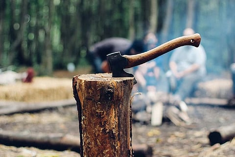 Representative image of timber felling