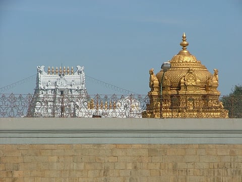 Centipede found in Sambar rice served by TTD, claims Tirumala devotee
