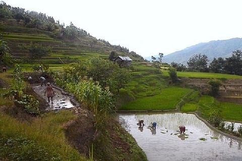 From Andhra to Nagaland, farmers are returning to their roots to fight climate change