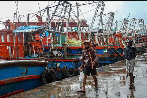 Trawling boats stationed in a fishing harbour