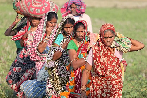 1 million tribals face eviction from forest lands: Did Centre's apathy cause this crisis?