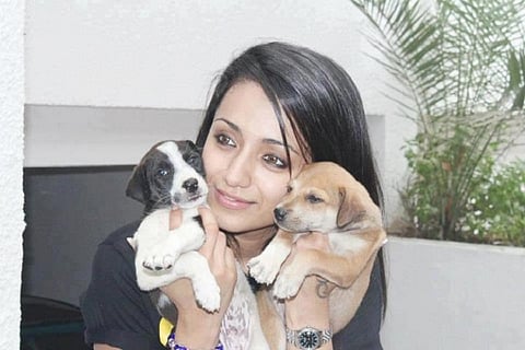 Trisha’s mother seeks police protection for her after online abuse and shoot disruption