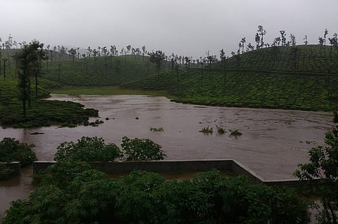Schools, colleges in Coimbatore and Nilgiris to remain shut on Friday due to heavy rains