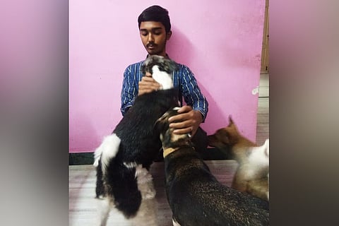Almighty Animal Sanctuary Thiruvallur Sai Vignesh 