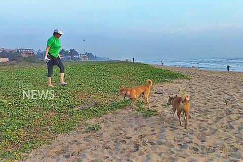 Beach warrior: Meet the Belgian woman on a mission to clean Chennai’s coastline