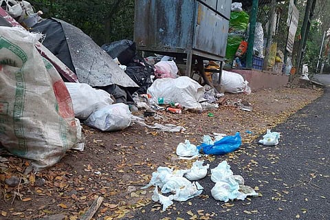 Diaper waste