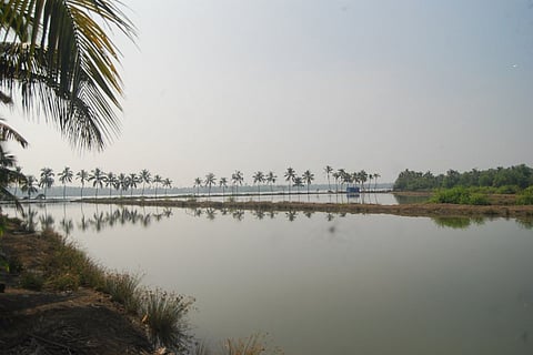 A waterbody in Kerala