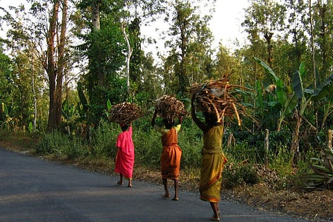 Animal attacks, failing livelihoods force Kerala tribals to leave their forest hamlets