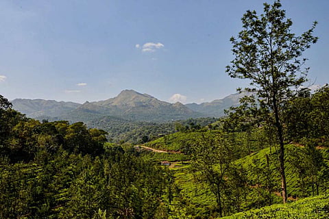 Wayanad