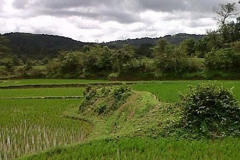 Wildlife Board gives nod to double railway track through Western Ghats