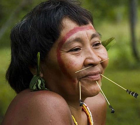 The lands of the Yanomami tribe in Brazil are in danger of being handed over to mining firms